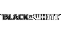 Pokemon Black and White Logo